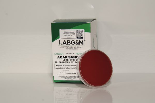 Agar Sangre