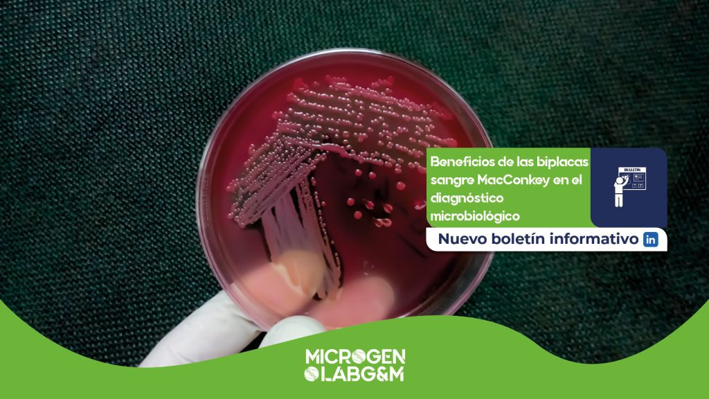 Beneficios de las biplacas sangre MacConkey en el diagnóstico microbiológico