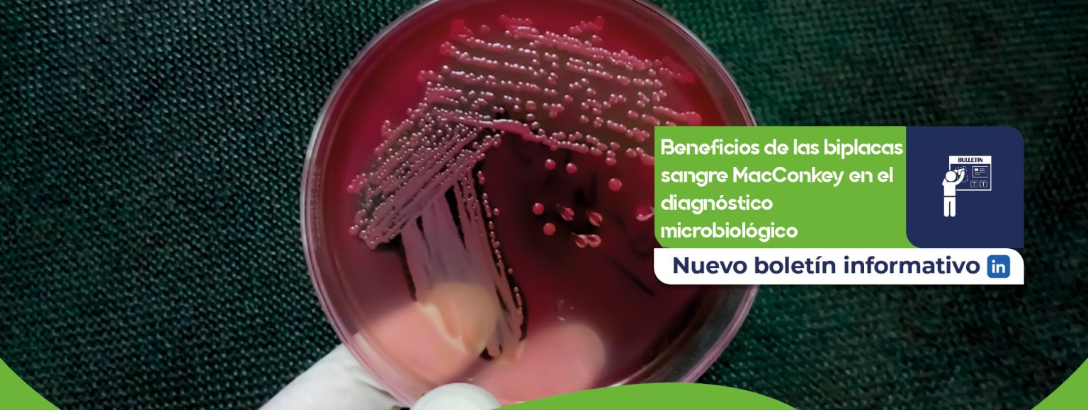 Beneficios de las biplacas sangre MacConkey en el diagnóstico microbiológico