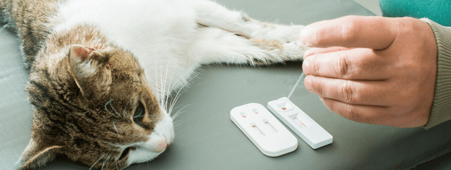 Microbiología Veterinaria