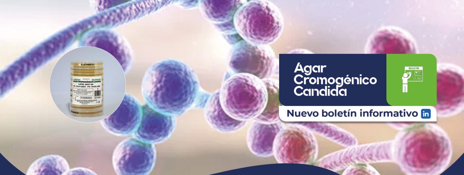 agar cromogenico candida