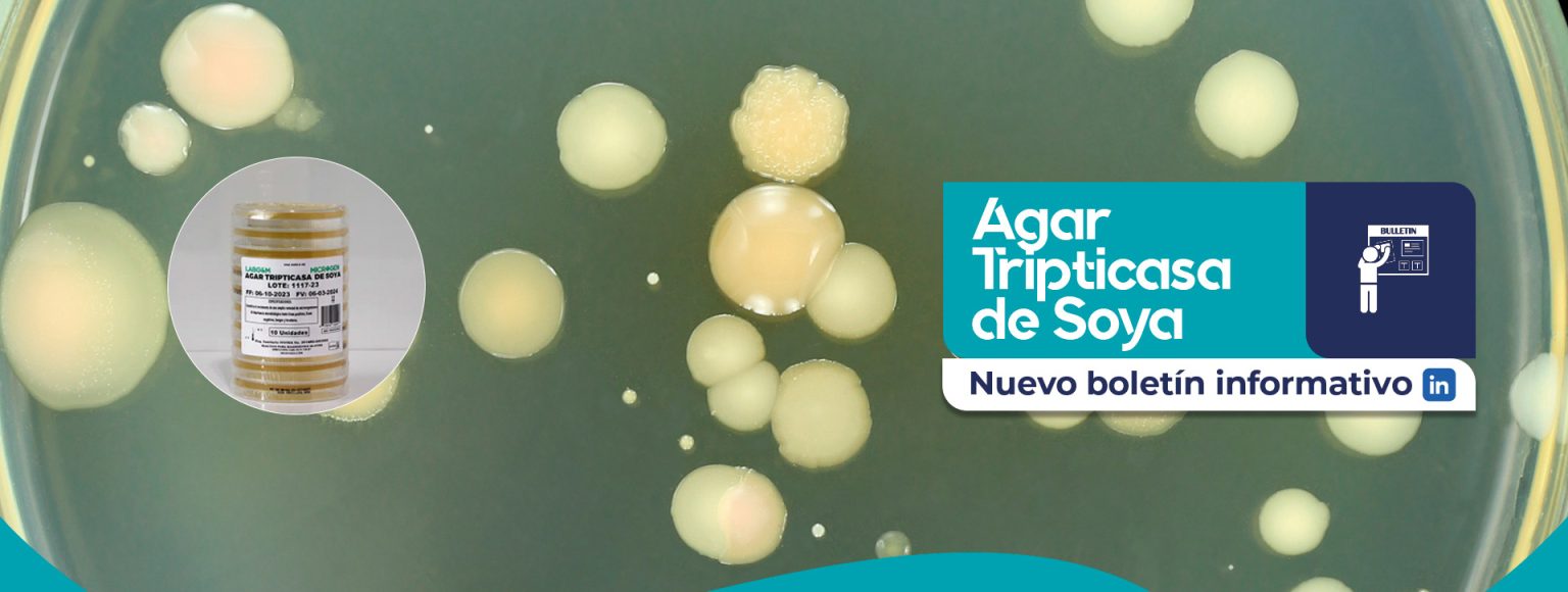 agar triticasa