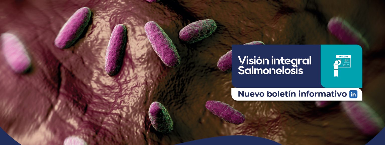 visión integral salmonelosis